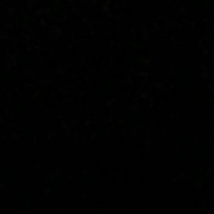 Meet your Posher, Lexie